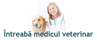 Intreaba medicul veterinar