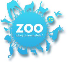Zoo.ro - Iubeste animalele